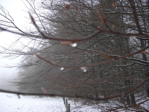 PICT0040