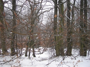 PICT0041