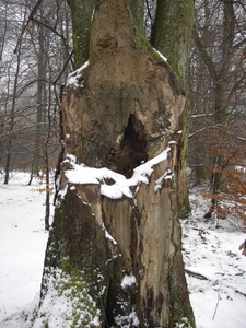 PICT0045