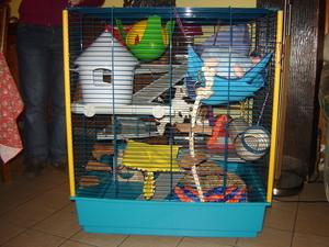 DSC06654