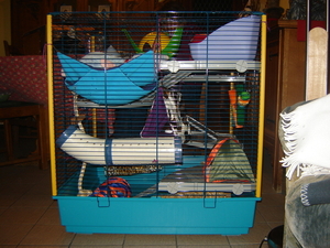 DSC06656