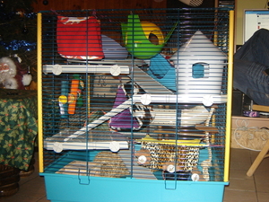 DSC06662