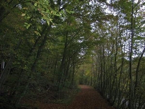 Fiets- en wandelpad naar Daverdisse