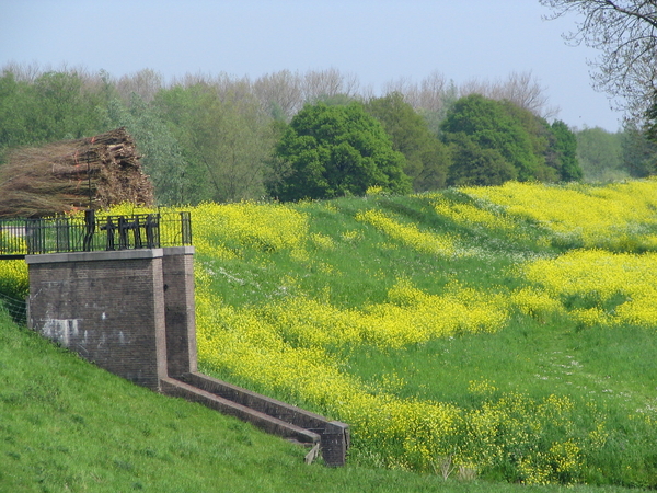 Gele dijk