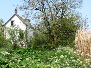 Wit huis
