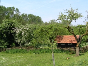 Rode pannen