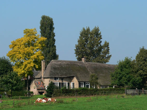 Boerderij