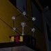 Afbeelding 019