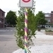 Afbeelding 089