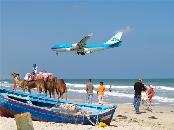 vliegtuig 66 (Medium)