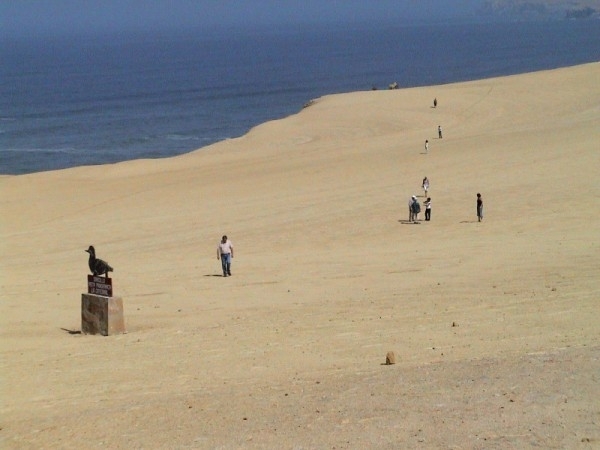 162_paracas