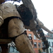olifant (29)