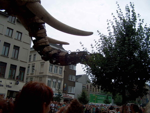 olifant (30)
