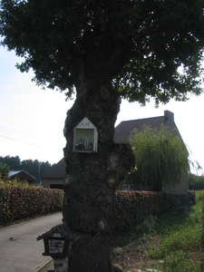 bij Andr� (2)