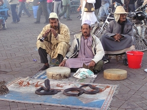 Maroc (223)