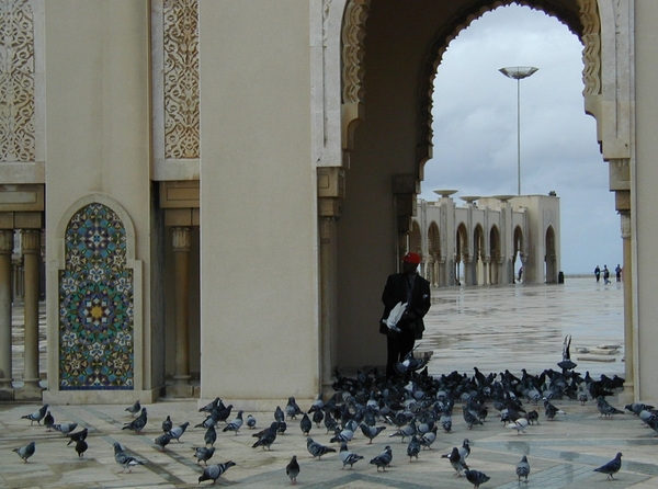 Maroc (252)