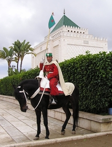 Maroc (303)