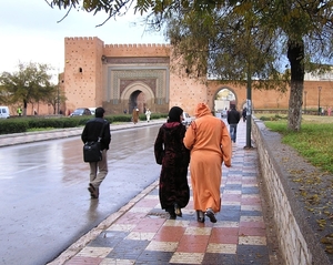 Maroc (349)