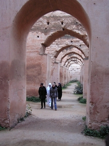 Maroc (354)