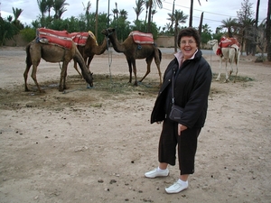 Maroc (545)
