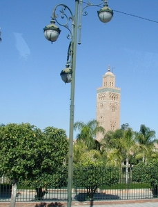 Maroc (560)