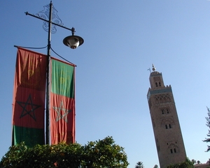 Maroc (562)