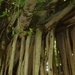 CIMG0869