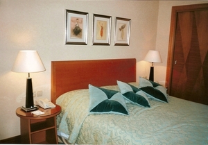 03 CSOB - Radisson room 1