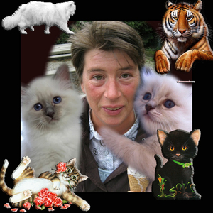 TANIA EN DE POEZENkopie