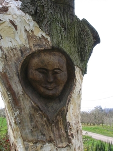 Hendrieken (14)