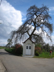 Hendrieken (17)
