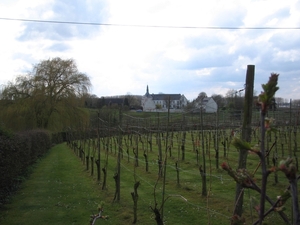 Hendrieken (19)