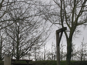 Hendrieken (9)