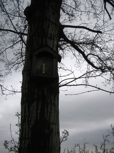 Hendrieken (4)