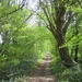 borgloon 27-4-08 007