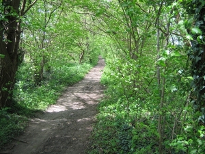 borgloon 27-4-08 008