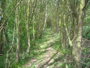 borgloon 27-4-08 009