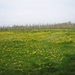 borgloon 27-4-08 014