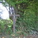 Deigné 31-8-08 002