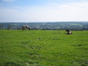 Deigné 31-8-08 010