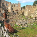 39 - Oradour sur Glane 034