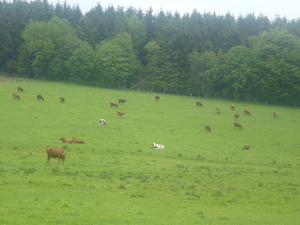 Dag 2 - Lahntalradweg (11)