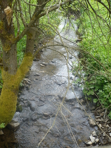 Dag 2 - Lahntalradweg (16)