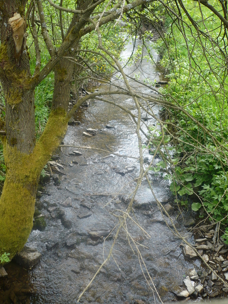 Dag 2 - Lahntalradweg (16)