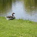 DSCN0468