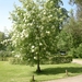 DSCN0470