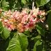 DSCN0437