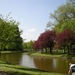 DSCN0479