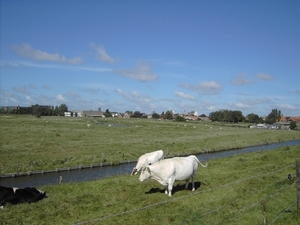 Bij Stene dorp.