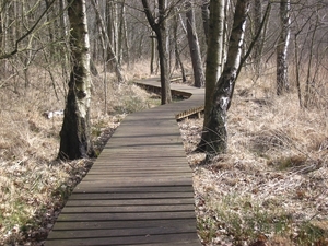 BILD0014